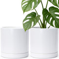 D'vine Dev 2-Pack Ceramic Pots with Saucers, White, 10 in, 94-V-E-1 by DvineDevPlanterPotsandStand