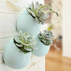 Arcadia Garden Products WP31 Small Round Wall Planter 3-Pack-Mint - Image 7