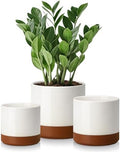 vancasso Ceramic Plant Pots, 4.25+5.25+6.25 Inch Planter Pot with Drainage Hole, Flower Pots for Indoor Outdoor Plants, Set of 3, Khaki by vancasso