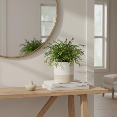 Nihow Ceramic Self Watering Plant Pot for Indoor Plants, 6 Inch,Cream White - Image 4