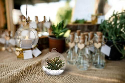 Hanging Glass Candle Holder, Globe Glass Tea Light Holder, Hanging Glass Vase, Flower Plants Terrarium, Glass Orbs Container, Micro Landscape DIY for Home, Office, Wedding (2.36" 24Pcs) - Image 6