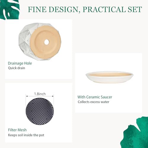10 Inch Ceramic Plant Pot with Drainage Hole Mesh Net, Large Flower Pots for Indoor Plants with Saucer, Gardening Pots Outdoor (White Silk) - Image 4