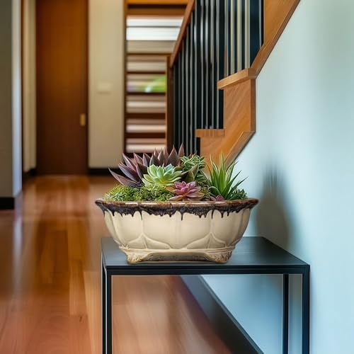 Ceramic Bonsai Tree Pots - 11 Inch Succulent Pots with Drainage Hole, Decorative Bonsai Pot for Indoor Outdoor Plants, Succulent Planters, Front Porch Decor, Gardening Gifts, Oval Beige-Brown - Image 5