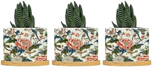 Chinoiserie Tree Peony Bird Floral Ceramic Planter Coral Turquoise Botanical Planters for Outdoor Plants with Drainage Holes and Saucers Pot for Indoor Outdoor Garden by BRUYU5SE