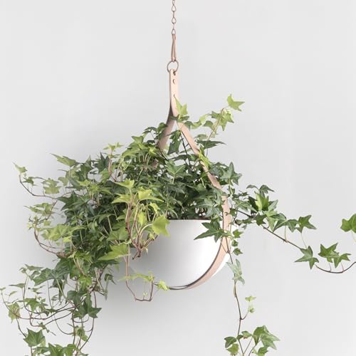 Hajia Waterdrop Shaped Hanging Planter, Metal Plant Hanger with Non-Detachable Pot, Hanging Plant Holder for Wall and Ceiling Decor.(No Plants and Drainage Holes) (Beige, Medium 1 Pack) by HajiaHomeDecor