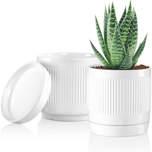 Vanavazon 6 Inch Glazed Ceramic Plant Pots with Drainage Hole and Saucer, Cylinder Indoor Planters for All House Plants, Modern Decor for Home & Office, Set of 2 (White) by Vanavazon