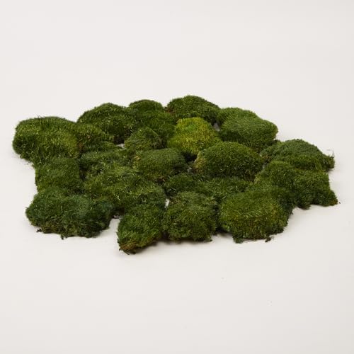 Preserved Pole Moss Pillow Bun Cushion Natural Decorative Real Natural Green DIY Kit Gardenning Art Wall Decor Florist Decor Easter Table Decor Wedding(1.5 sq.ft, Green-A) - Image 5