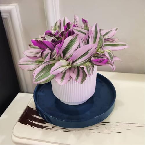 Ceramic Flower Pot Saucers, 9 Inch Plant Pot Saucers for Indoors Plants, Plant Trays for Pots Holding Water Drips and Soil, Drainage Tray for Plant Pot (Blue) - Image 5