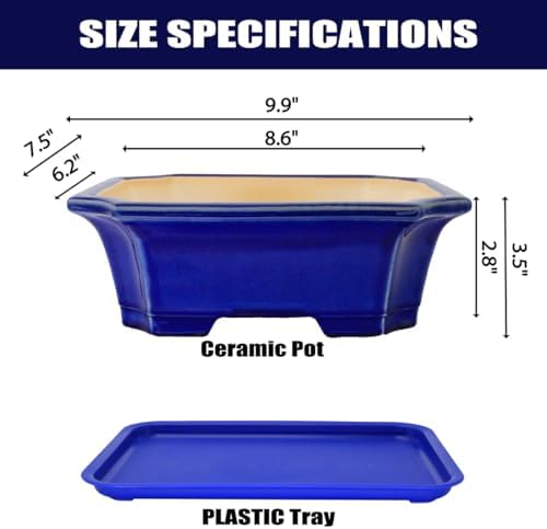 MUZHI 2pcs Green Ceramic Bonsai Planter Pots with Bamboo Tray 6.2 “ & 5.3”, Rectangular Glazed Bonsai & Succulent Cactus Starter Pot with Drainage Ice Crack Design (Crackle Glazed 10") - Image 2