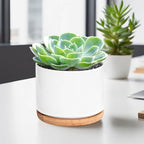 Set of 3 White Ceramic Succulent Pots with Bamboo Trays for Tabletop, Perfect for Home Or Office Decoration - Image 4