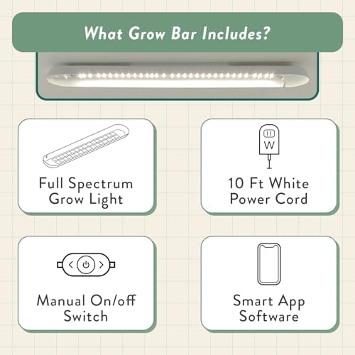 Modern Sprout Mason Jar Herb Garden Kit Indoor - Image 5