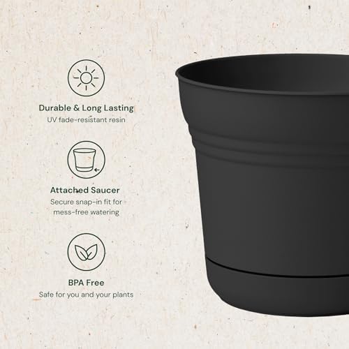 Bloem Saturn 10" Plastic Planter with Saucer, Black, 4-Pack - Image 3