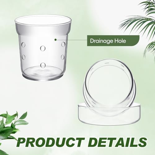 Baderke 1 Piece Orchid Pot with Drainage Holes and Tray Transparent Glass Pot Planter for Orchids Flower Repotting Anti Slip Glass Plant Vase for Indoor Outdoor Home Decor(4 Inch) (Pack of 2) - Image 3