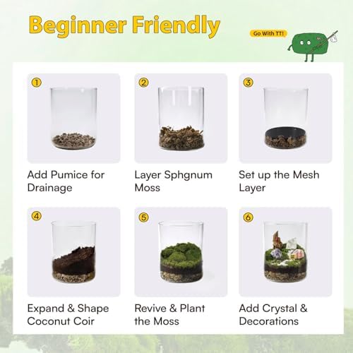 DIY Crystal Terrarium Kit - 21-Pieces All-In-One Starter Kit with Preserved Moss, Pumice, Crystals, Coconut Coir, Tools & Decor | Healing Gift for relaxing | Plants Lovers | Home & Desk Decor - Image 6