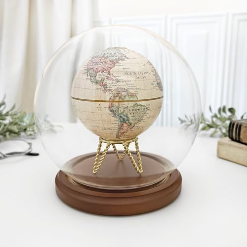 Plymor 6 inch x 7 inch Glass Display Dome Globe Cloche (Dark Wood Base) - Image 2