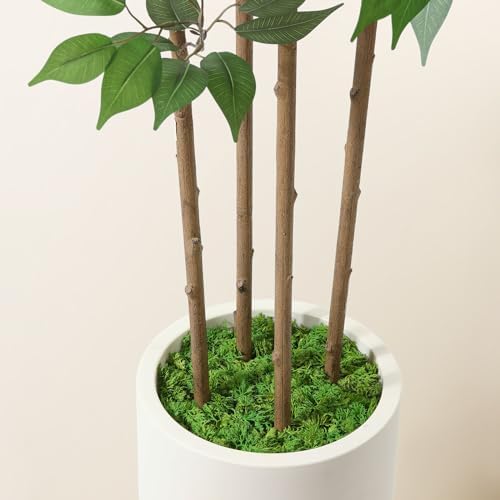 SOGUYI Ficus Artificial Tree 7ft Fake Silk Plant for Home Decor Indoor, Faux Tree in White Imitation Ceramic Planter Fake Floor Plant for Living Room and Home Office Corner Indoor Decor, Set of 1 - Image 5