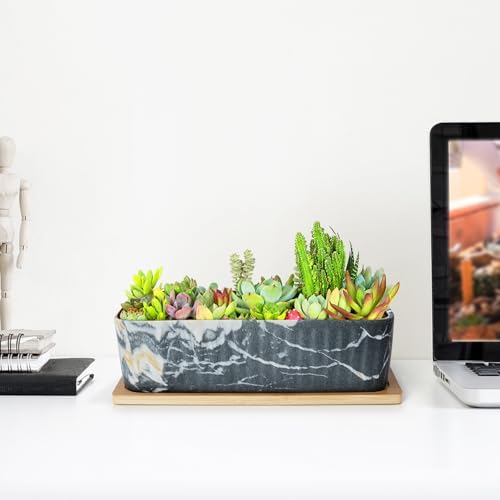 Succulent Pots, Large Shallow Rectangle Planters with Drainage Tray - Image 5
