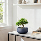 Kante Accent Round Bowl Charcoal Concrete Planter 16" Dia, Outdoor - Image 5