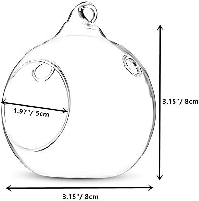NUPTIO Hanging Glass Terrarium Globes with 2 Holes, 24 Pcs, 3.15 Inch - Image 7