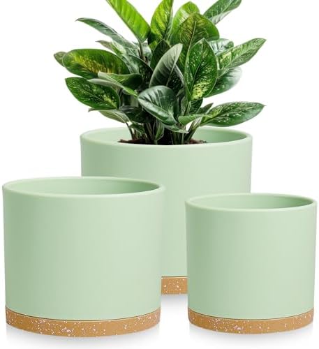 Large Plant Pots Set of 3 – 8", 9", 10" Indoor Flower Pots with Drainage Holes and Saucers, Big Planters for Monstera, Fiddle Leaf Fig, Snake Plant – 5 Colors - Image 6