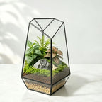 Ferrisland Glass Geometric Plant Terrarium, Clear Glass Succulent by Ferrisland