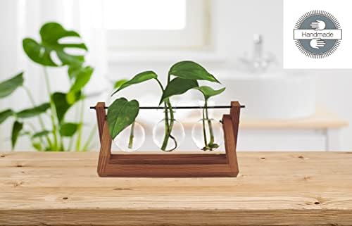 Winkee - Hydrovase Blossom | 3 x Flower Vase with 1 x Wooden Stand | Table Planter | Modern Decoration | Glass Propagation Station | Plant Glass | Root Glass Vase | Gift for Mother's Day, Birthday - Image 2
