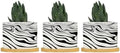 African Zebra Strip Print Ceramic Planter Black White Animal Strip Pots for Plants with Drainage Holes and Saucers Pot for Pots Outdoor Indoor Plants by BRUYU5SE