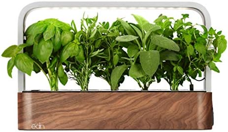 edn Indoor Smart Garden with Basil SeedPods for iOS Devices by EDN