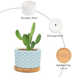 Timur in Blue Background Planter Ceramic Geometric Modern Round Plant Pots with Drainage Holes and Bamboo Tray Pot for Home Office Desk Garden - Image 3