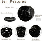 Oairse 6 inch Orchid Pots with Holes, Black Ceramic Orchid Pot for Repotting Small Indoor Plant Pots with Drainage Holes and Saucers Decorative Flower Planter for Orchids, Indoor Plant - Image 2