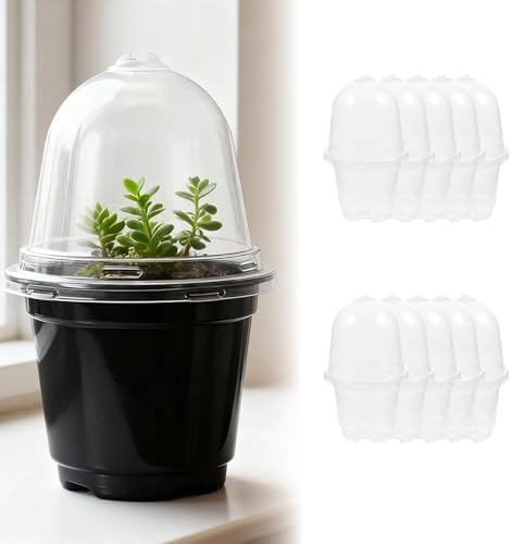 3.5/4/5” Nursery Pots with Humidity Dome, Square Seedling Pots Thickened Hardened with Tray, Plastic Seedling Containers for Indoor Outdoor Plant Germination(ligjt Grey,10PCS-4IN) by Unknown