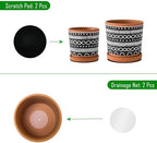 D'vine Dev 2-Pack Terracotta Pots, 4/6 in, Terra/Black, 31-958-D-2 - Image 4