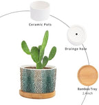 Chestnut Animal Planter Ceramic Animal Brown Dot Round Flower Pot with Drainage Holes and Bamboo Tray Pot for Succulents Cactus Garden Windowsill - Image 3