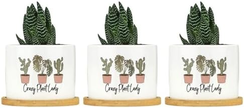 DreamAutumn Pack of 3 Crazy Plant Lady Planter Ceramic Round Plant Pots with Drainage Holes and Bamboo Tray Planting Small Flower Pots for Home Windowsill Desk Garden Indoor Outdoor Use - Image 6
