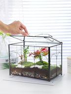 REDHUGO Glass Planter Terrarium with Lid, Indoor Display Box, Black - Image 2