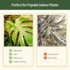 15 Inch Self-Watering Planter for Indoor Plants – Large Modern Plant Pot with Built-In Water Reservoir, Ideal for Monstera, Fiddle Leaf Fig, Palms & Peace Lily, Without Trellis (1, Fog Gray) - Image 4