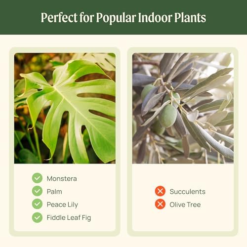 15 Inch Self-Watering Planter for Indoor Plants – Large Modern Plant Pot with Built-In Water Reservoir, Ideal for Monstera, Fiddle Leaf Fig, Palms & Peace Lily, Without Trellis (2, Fog Gray) - Image 4