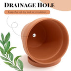 Maxdot 2 Pack 10 Inch Large Terracotta Pots with Saucer Terra Cotta Pots - Image 3