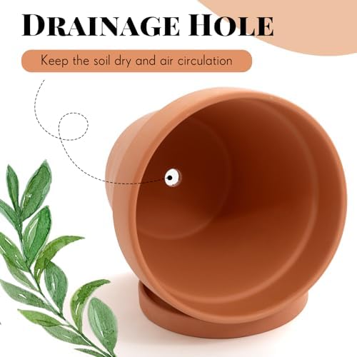 Maxdot 2 Pack 10 Inch Large Terracotta Pots with Saucer Terra Cotta Pots - Image 3
