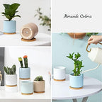 4 Inch Ceramic Plant Pots with Drainage Hole and Saucer, Small Modern Flower Pots with Trays for Succulent, Cactus and Herbs, Morandi Colors, Set of 4 - Image 5