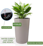 Dexceder 16x12 Self Watering Tall Planter (Taupe Matte) - Image 5