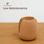 Natural Cork Oval Propagation Planter with Glass Vase - Image 4