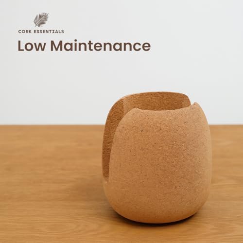 Natural Cork Oval Propagation Planter with Glass Vase - Image 4