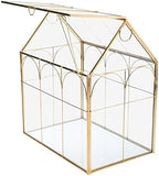 Geometric Plant Terrarium with Lid, House Succulent Terrarium Kit - Image 6