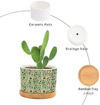 Green Planters Ceramic Animal Green Print Round Flower Pots with Drainage Holes and Bamboo Tray Pot for Home Office Desk Garden - Image 3
