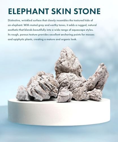 SubstrateSource Natural Aquarium Stones - Light Brown with Gray, Dimples & Craters, Decorative Aquascaping Rocks, Epiphytic Plants, Shrimp, Betta Fish Tank & Reptile Enclosure - Elephant Skin, 30 LB - Image 2