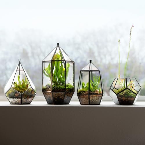 SuperMoss (90405) Glass Terrarium – Elegant Indoor Gardening Décor, Ideal Gifts for Plant Lovers, Modern Home & Office Decoration, 7.5” x 7.5” x 14”, Greenhouse - Image 6