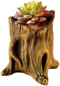 Decorative Cement Flower Pots with Natural Tree Root Aesthetic for Bonsais and Enthusiasts Indoor Outdoor Use Cement Planter by Unknown