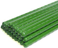 Growsun 6ft 50 Pack Tomato Stakes Plant Stake Supports Garden Fences Trellis Metal Plastic Coated Plant Cage Supports Climbing by Growsun