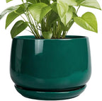 G EPGardening Ceramic Pots for Plants, 9 Inch Ceramic Planter, Green by GEPGardening